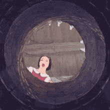 Gif animé puit Blanche Neuge